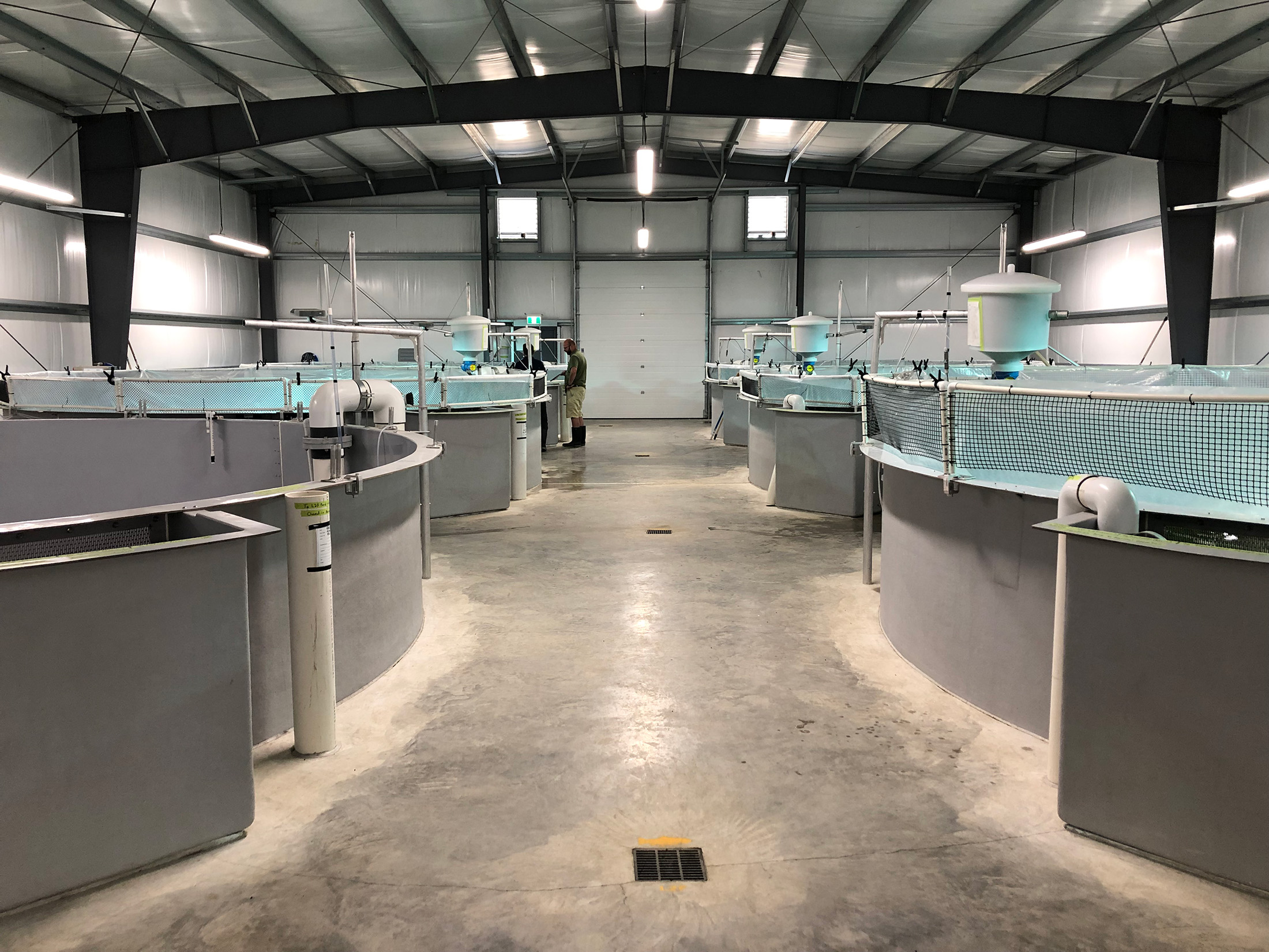 Hydrotech Belt Drum Filter RAS Recirculating Aquaculture System