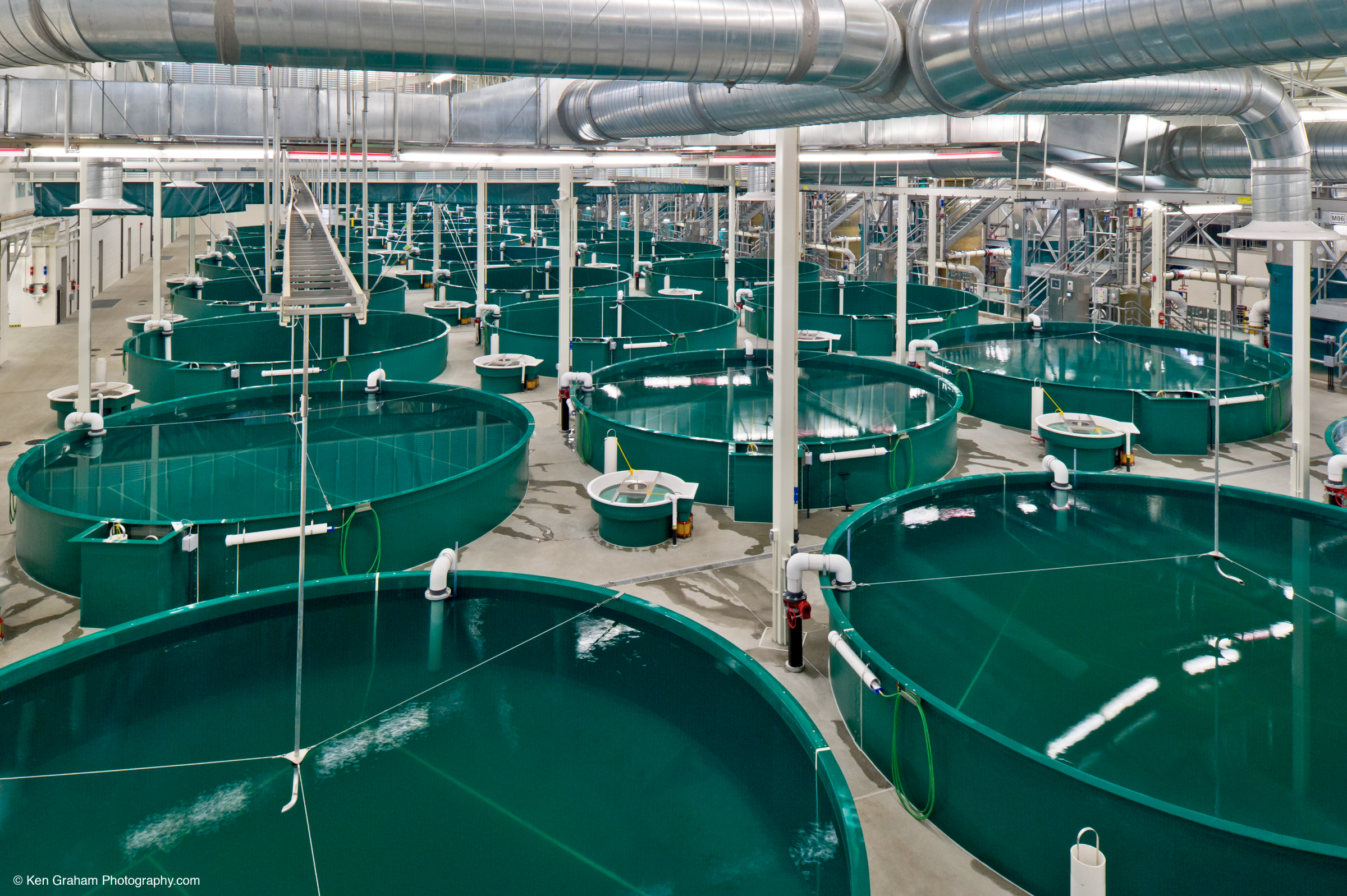 RAS Hydrotech Drum Filter Aquaculture PR Aqua at the Anchorage Hatchery