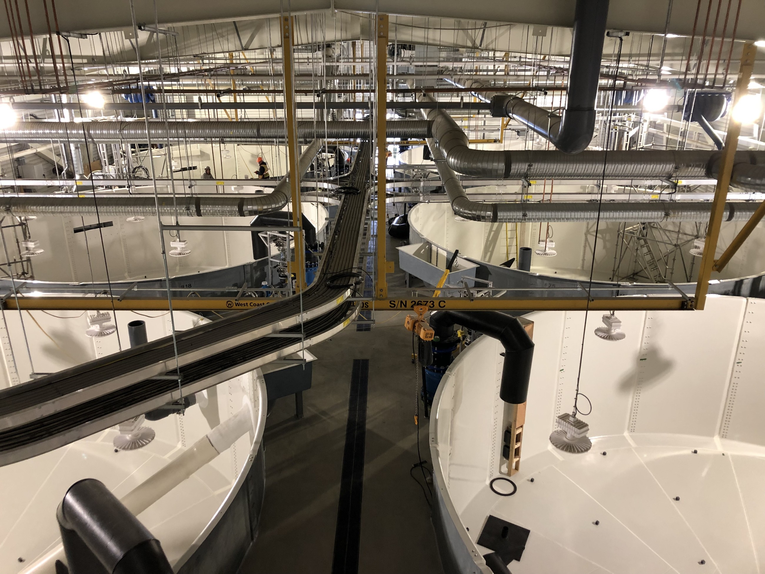 Grieg Seafood Fish Hatchery Project