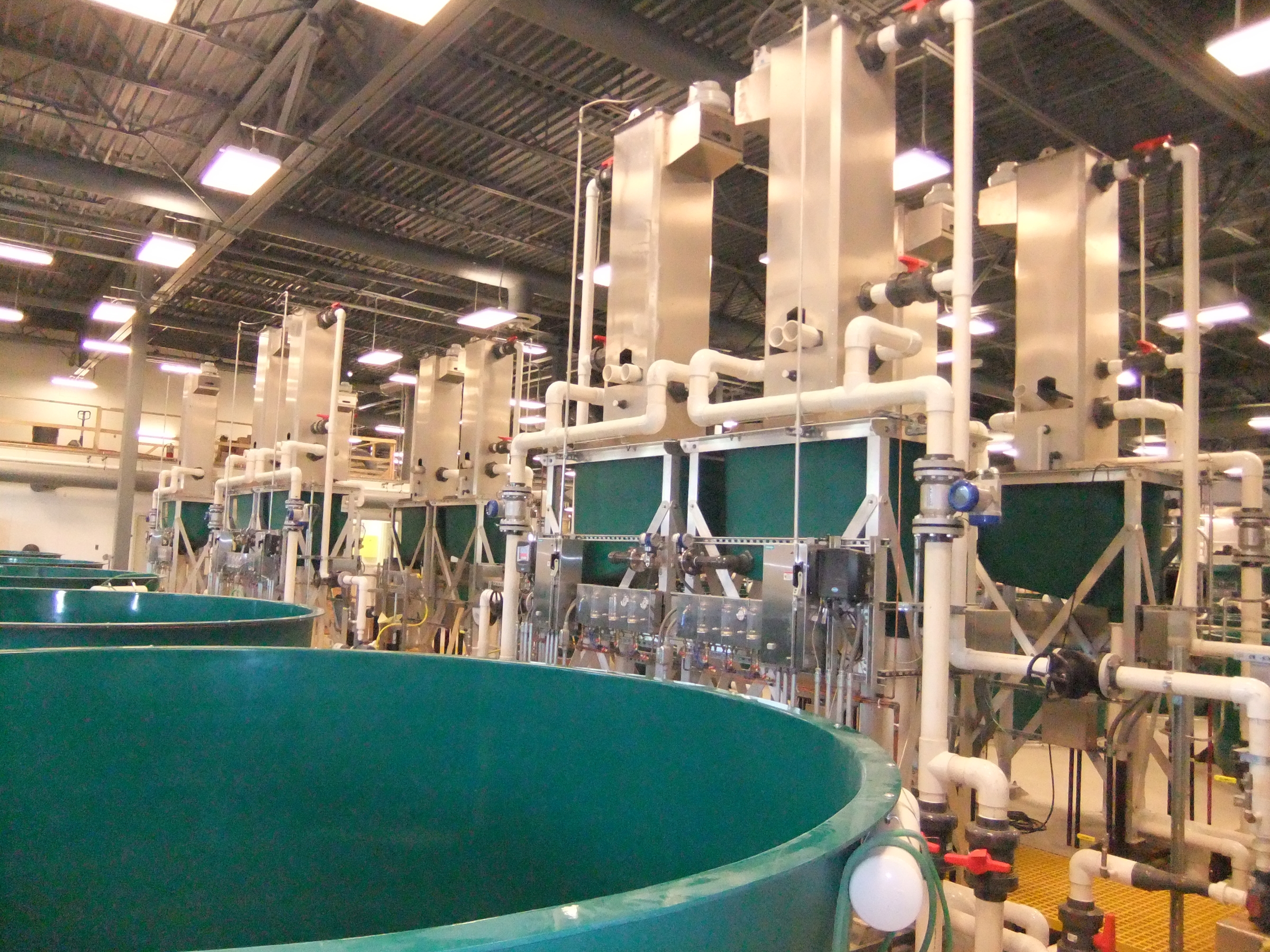 Ruth Burnett Sport Fish Hatchery