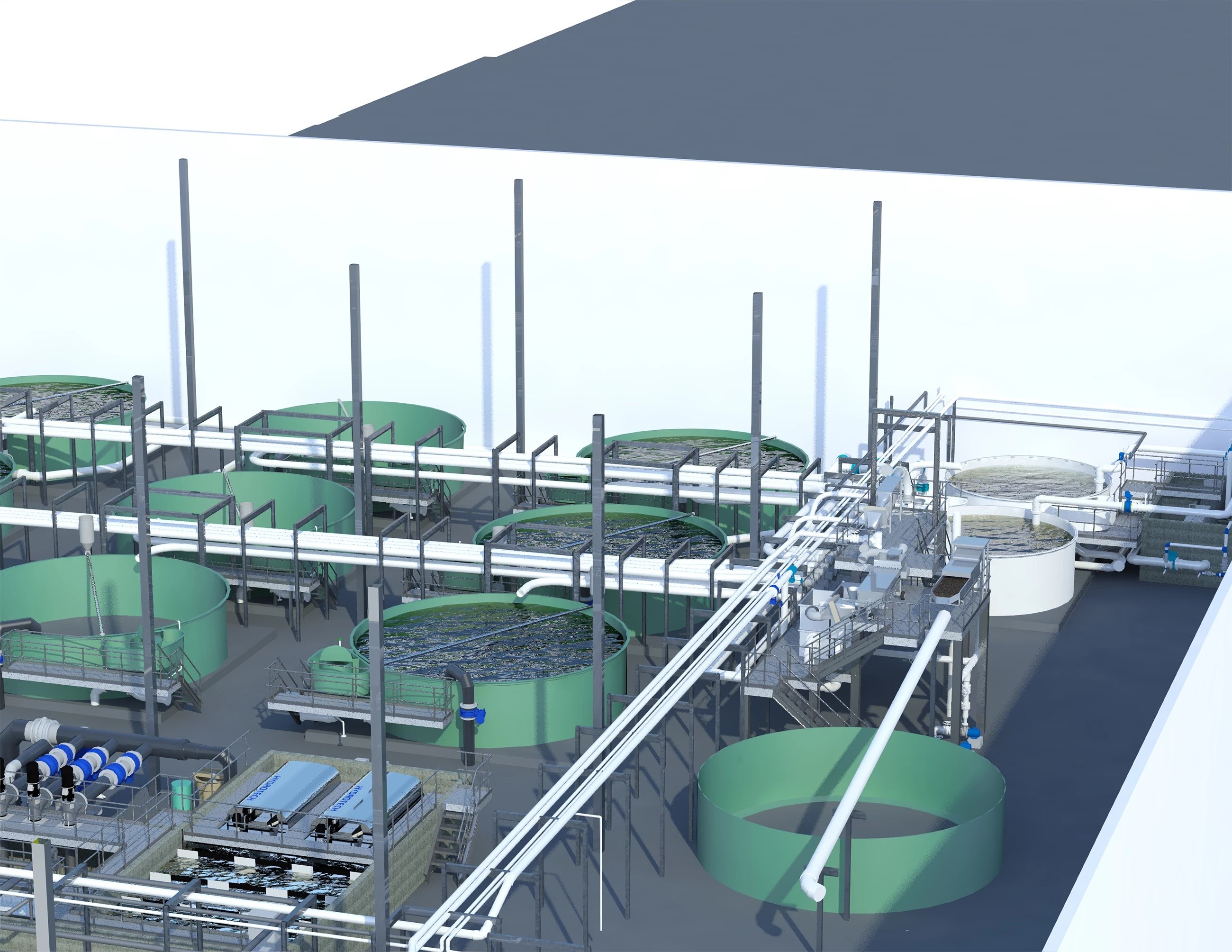 RAS Recirculating Aquaculture System Design Engineering