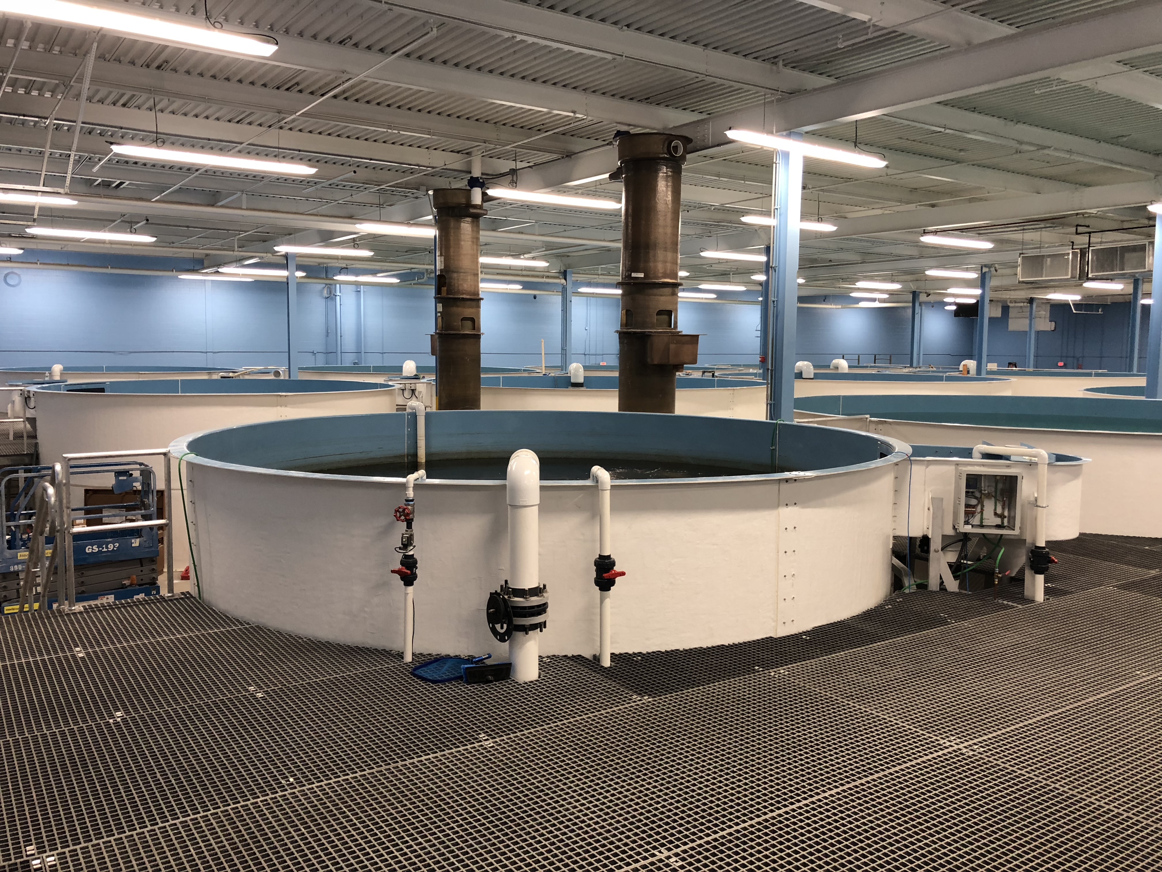 Ideal Fish Hatchery