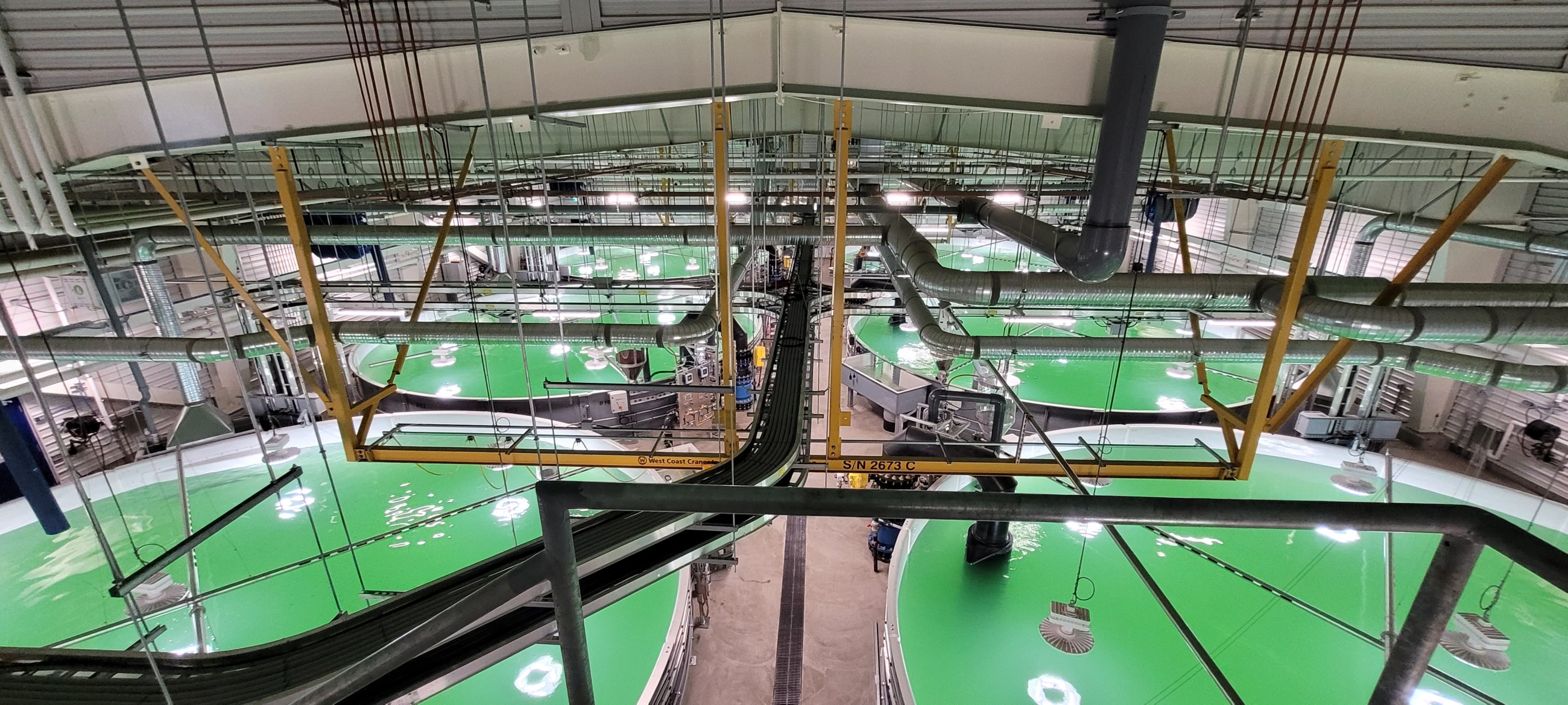 The tanks in the Grieg Seafood Fish Hatchery project