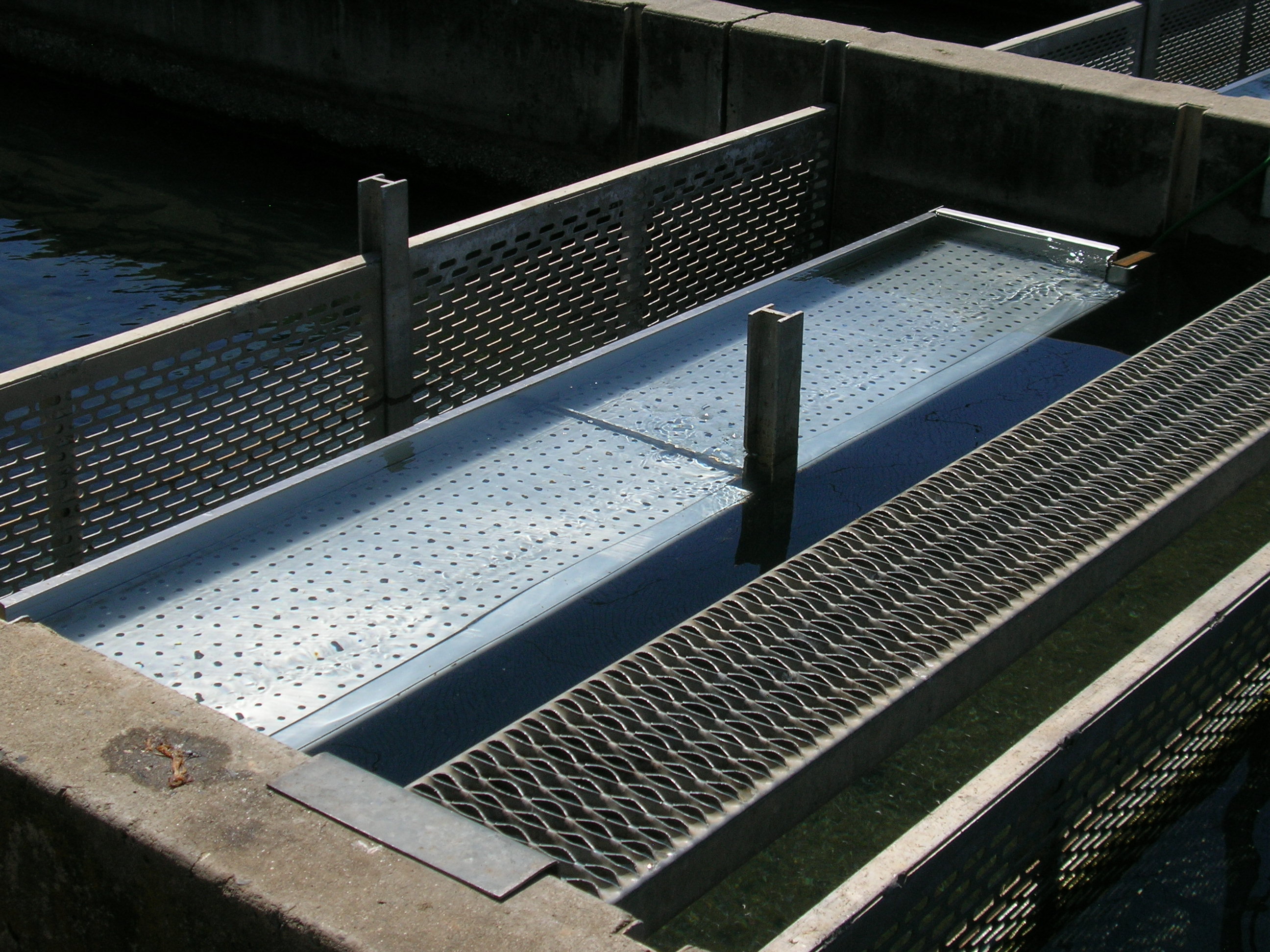 RAS Recirculating Aquaculture System Design Hydrotech Drum Filter
