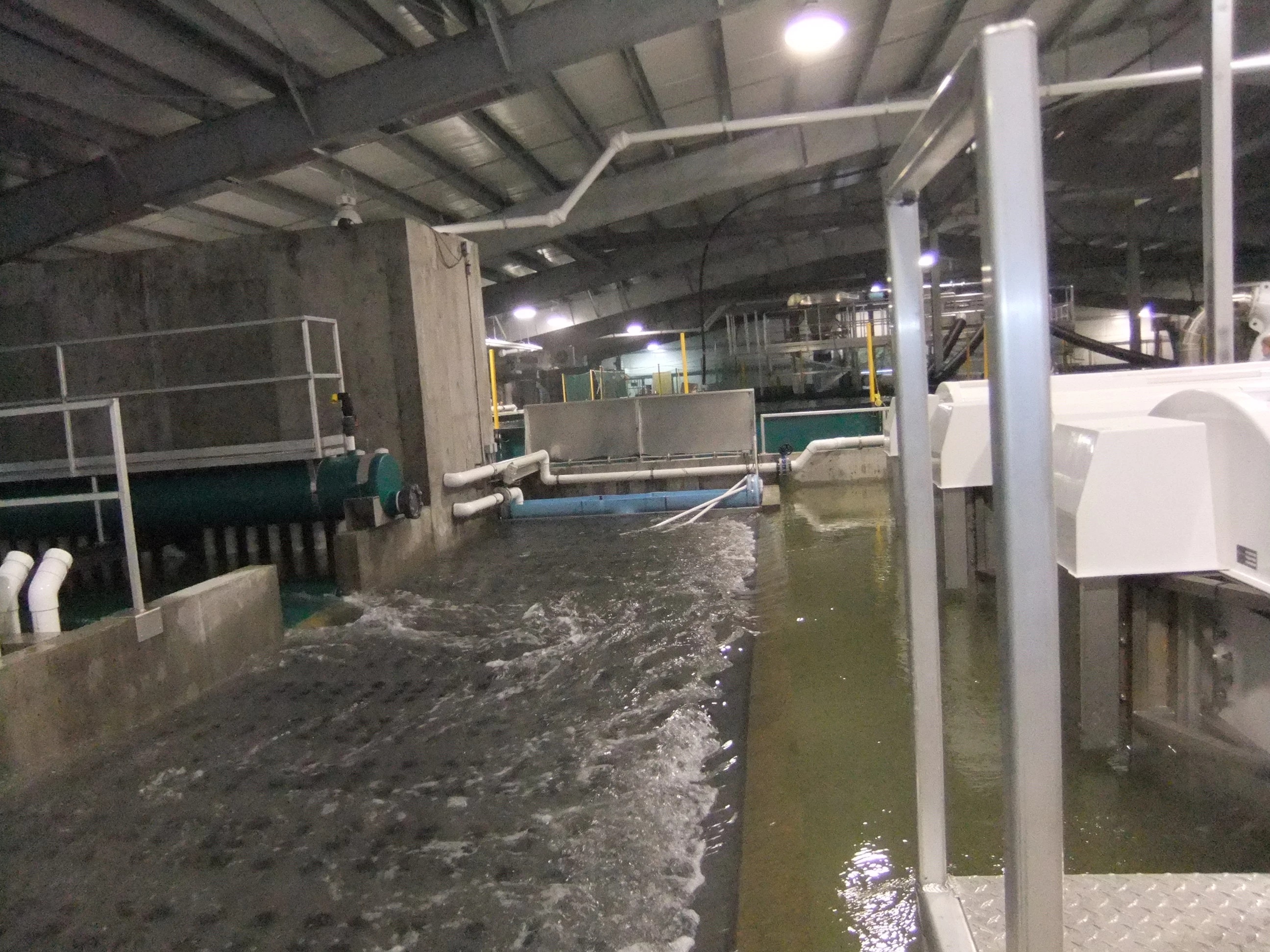 RAS Recirculating Aquaculture System Hydrotech Drum Filter Belt Aquaculture