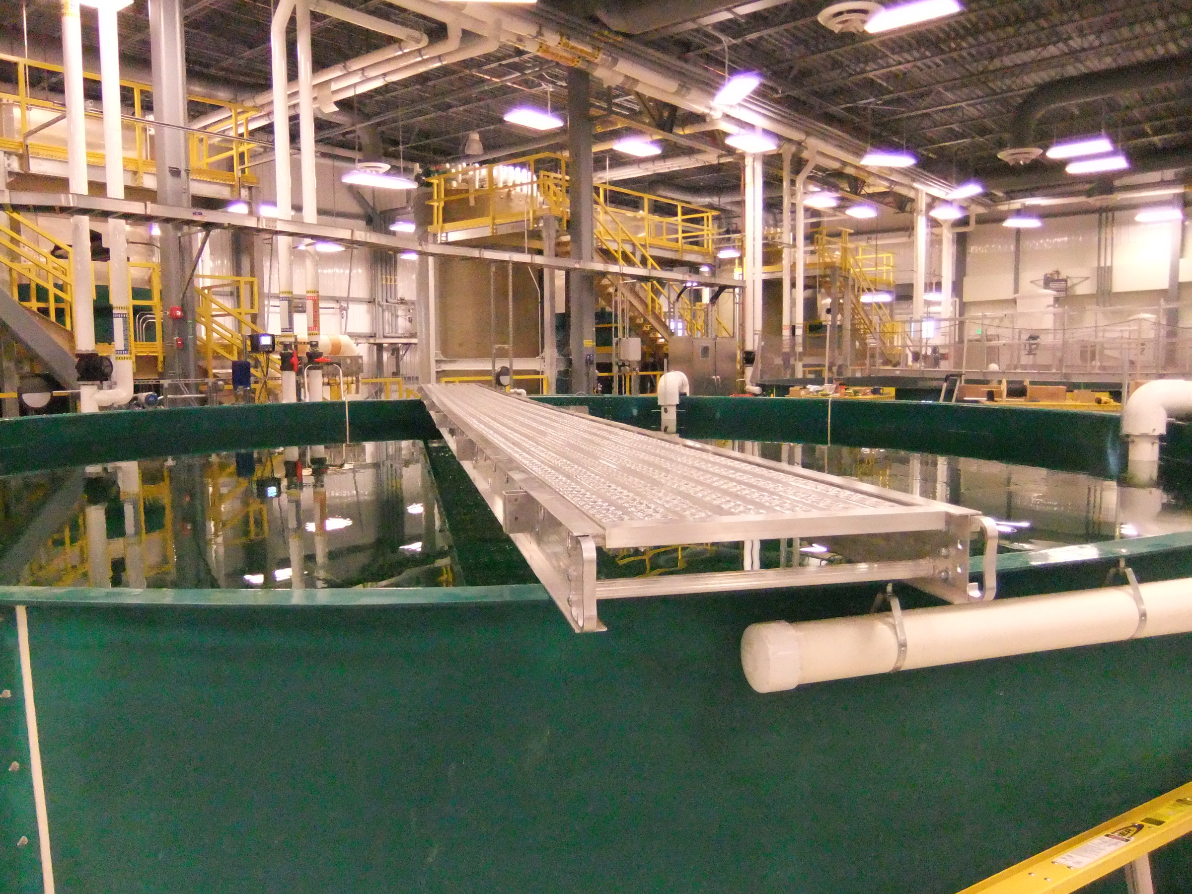 Inside the Ruth Burnett Sport Fish Hatchery