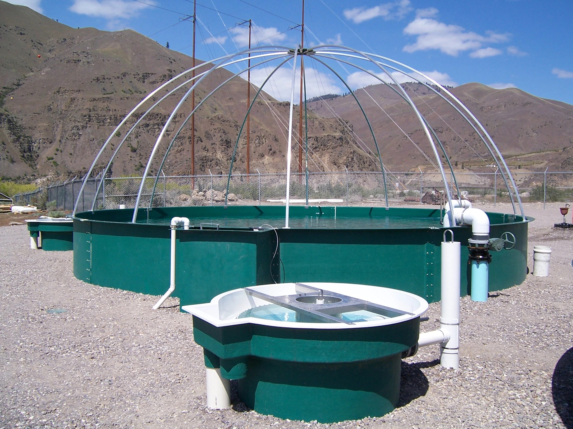 Recirculating Aquaculture Systems (RAS) In The United States