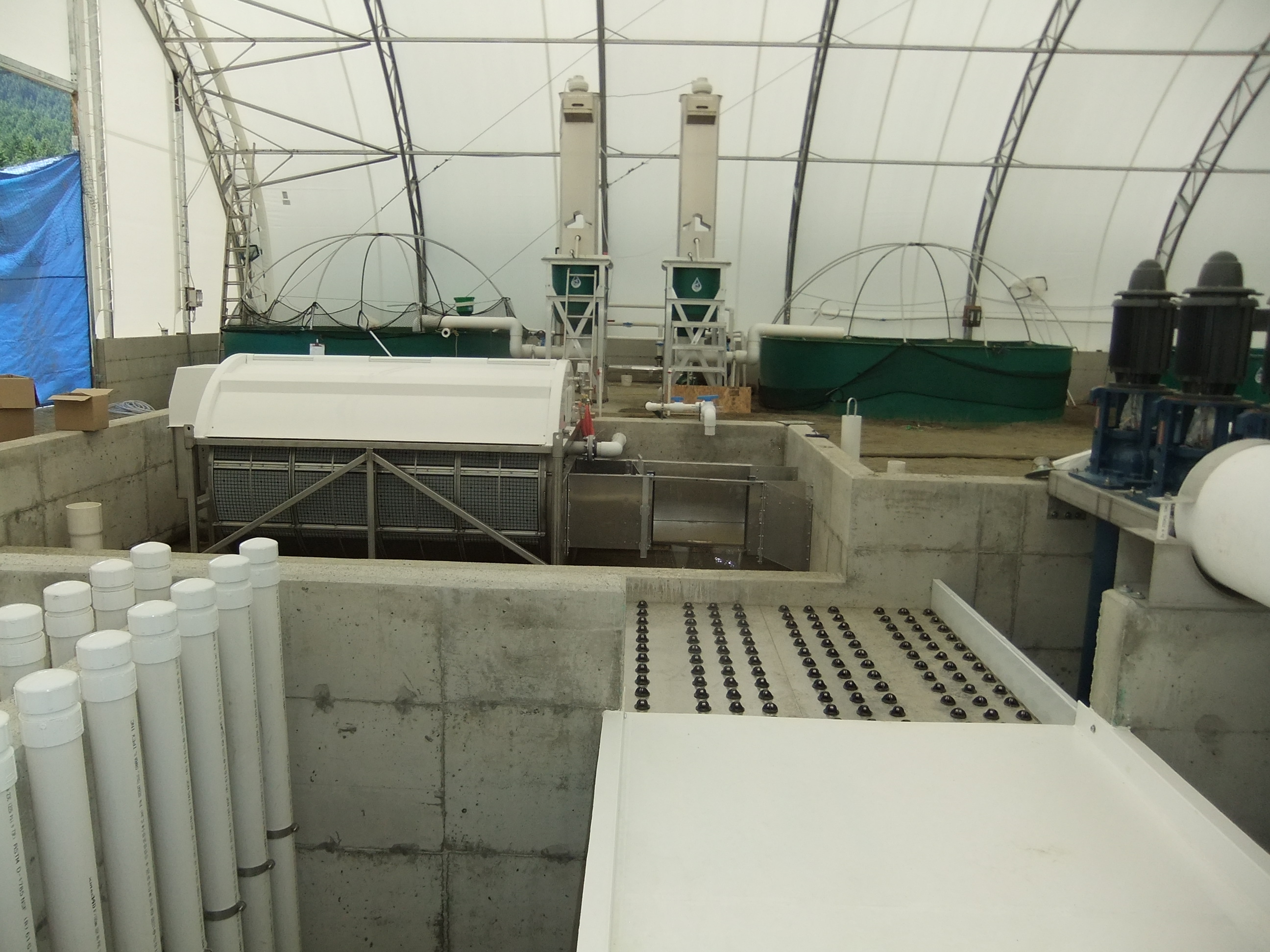 RAS recirculating aquaculture system Hydrotech drum filter belt aquaculture